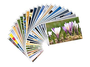 Фотографий