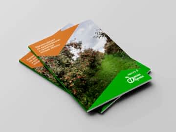 Дизайн каталогов